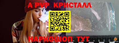 крисы Можга