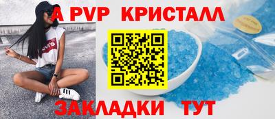 крисы Можга