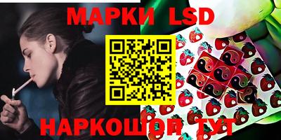 крисы Можга