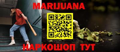 крисы Можга