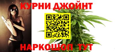 крисы Можга