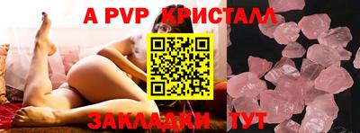 крисы Можга