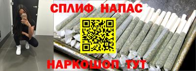 крисы Можга