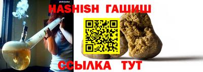 крисы Можга