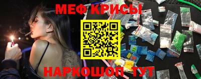 крисы Можга